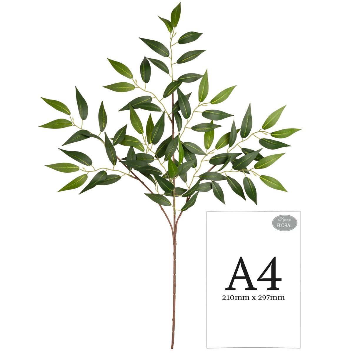 Ruscus Spray image 1