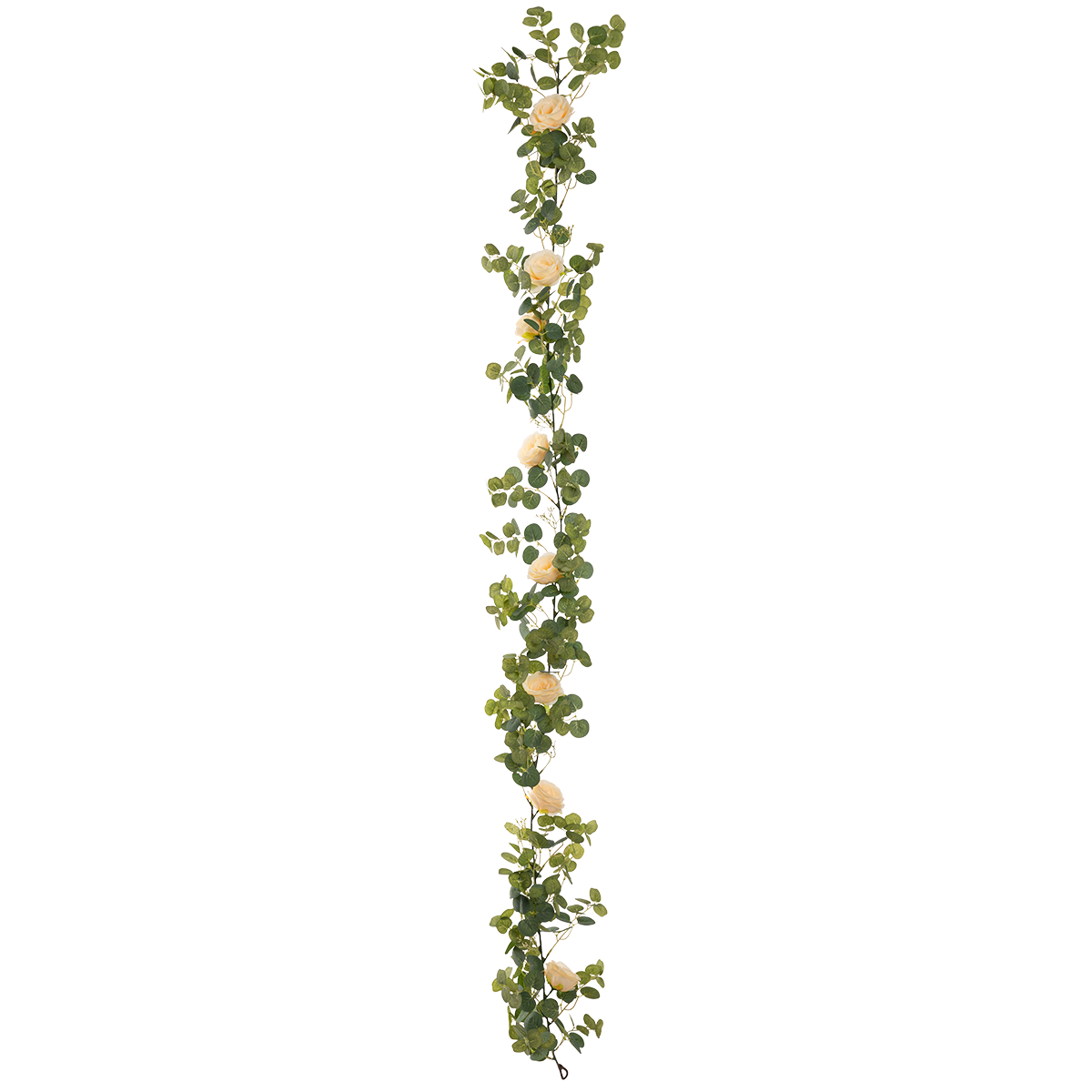 Eucalyptus Garland with Wild Rose Champagne image 1