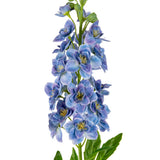 Delphinium Stem Lavender Blue image 1
