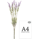 Lavender Bush x 12 Branches image 2