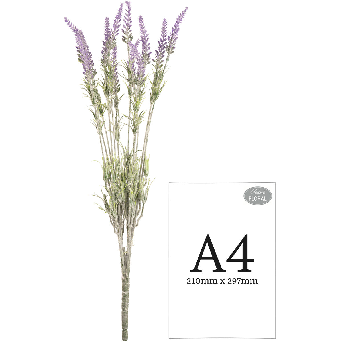Lavender Bush x 12 Branches image 2