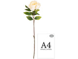 Aurora Peony x 1 Ivory image 1
