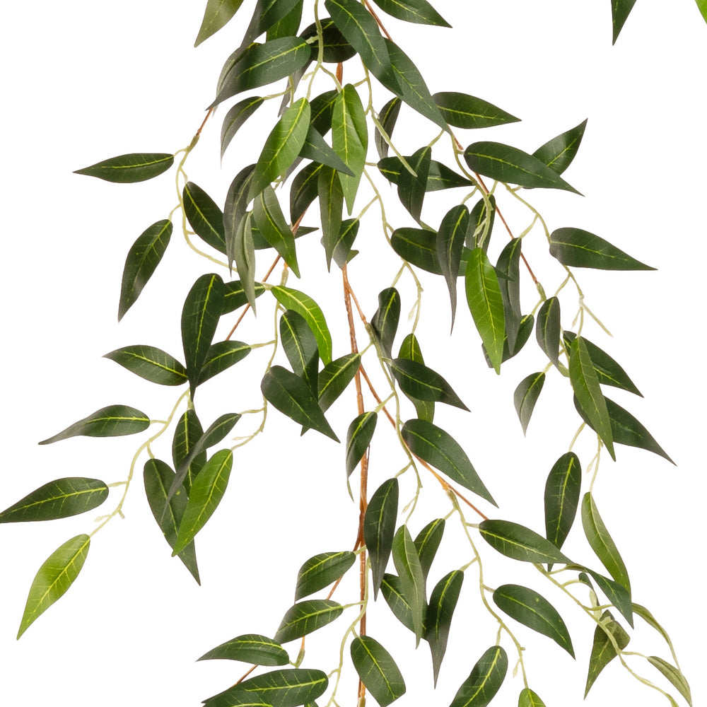 6' Ruscus Garland Green image 0