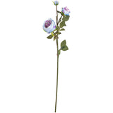 Elizabeth Garden Rose Spray x 3 Blue image 0