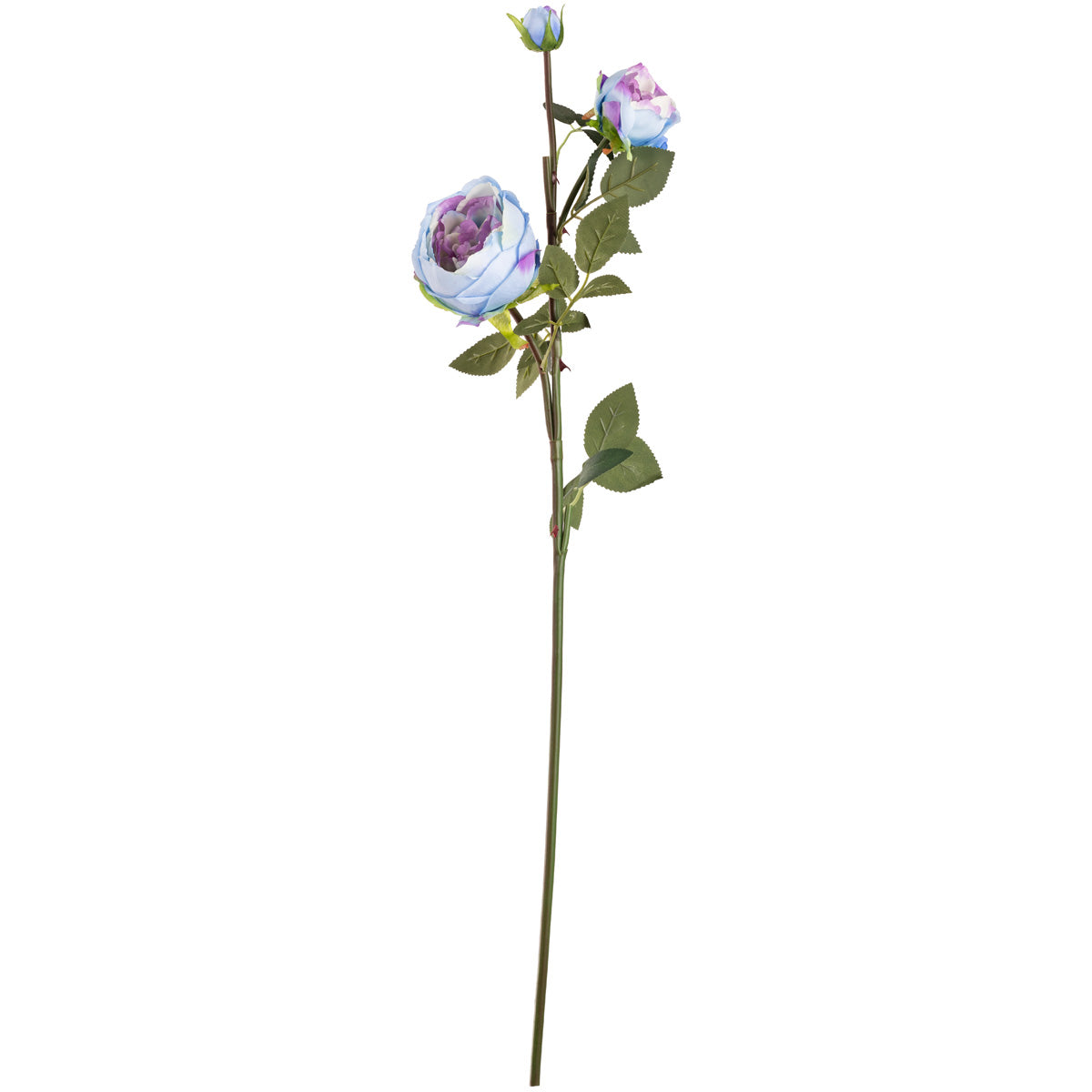 Elizabeth Garden Rose Spray x 3 Blue image 0