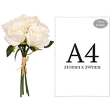 Eugenie Rose Bunch x 6 White image 1