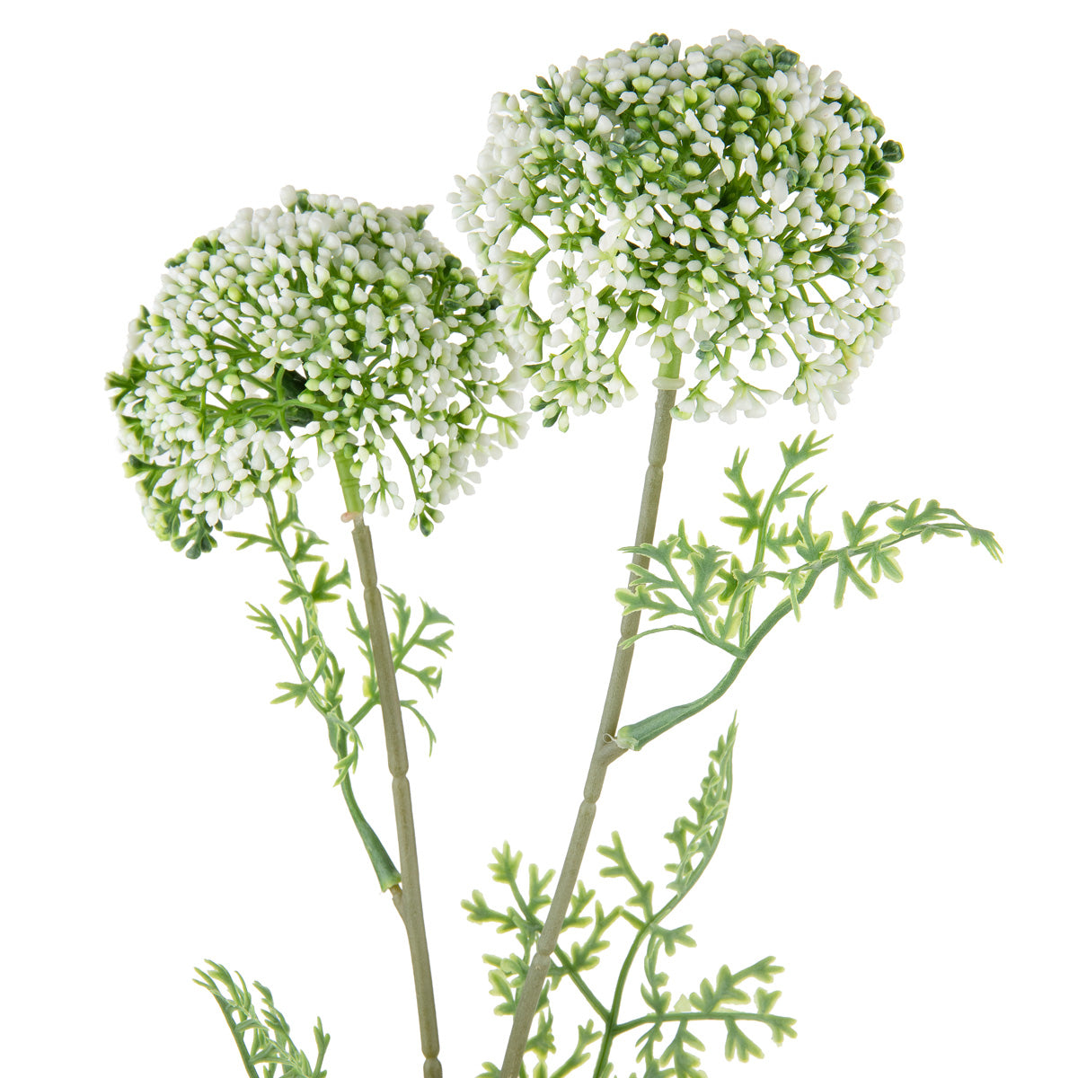 Wild Meadow Spray x 2 White image 1