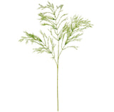 Wild Asparagus Spray Light Green image 0