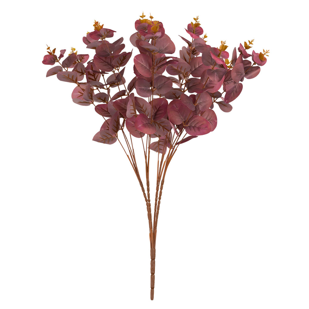 Eucalyptus Bush Burgundy (16 Heads) image 0