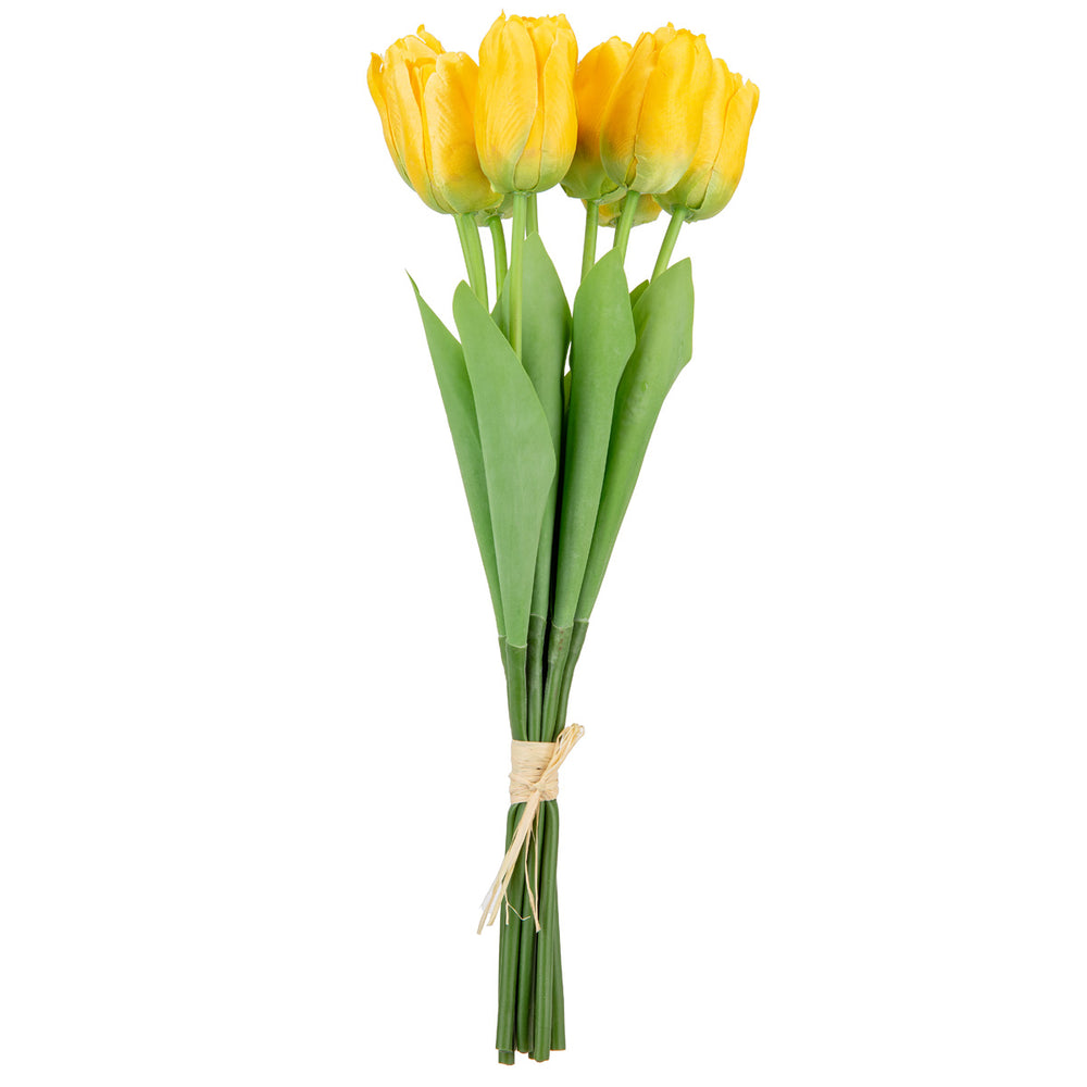 Tulip Bunch x 9 Pale Yellow image 0