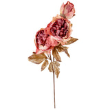 Dry Image Peony Vintage Rose Pink image 1