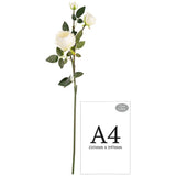 Elizabeth Garden Rose Spray x 3 White image 1