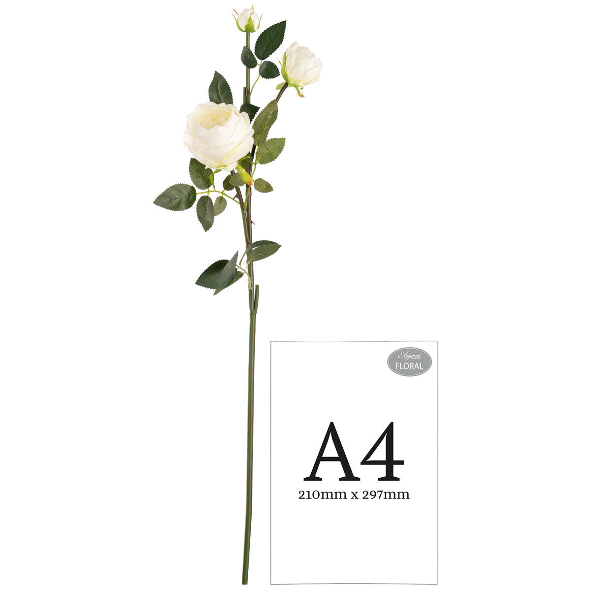 Elizabeth Garden Rose Spray x 3 White image 1