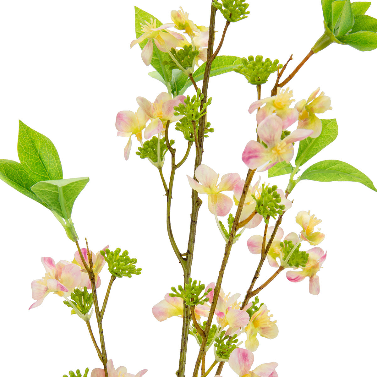 Meadow Blossom Pink/Cream image 1