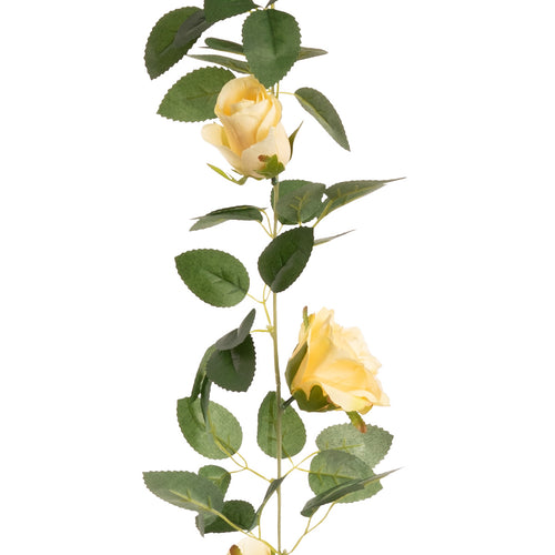 Alice Rose Garland x 11 Heads Champagne image 0