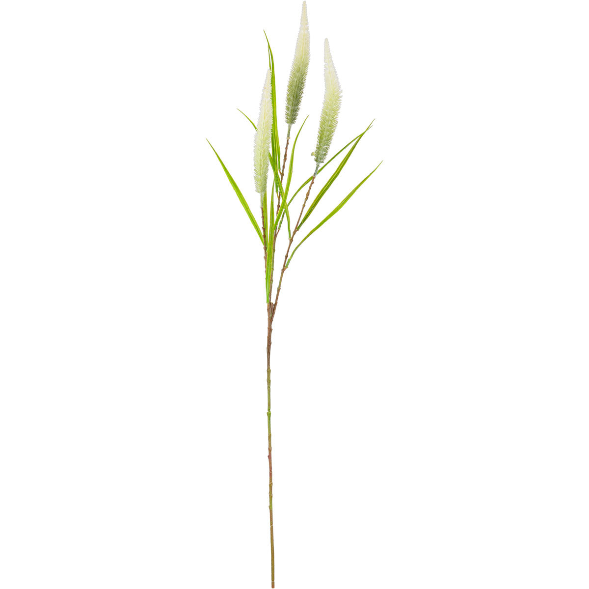 100cm Reed Spray White Green image 0