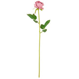 Gabriella Single Rose Dusky Pink 53cm image 0