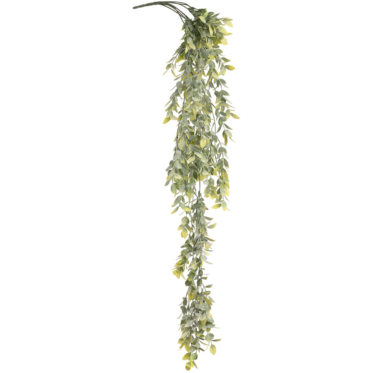 Hanging Plastic Wild Tea Bush image 1