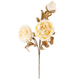 Dry Image Peony Linen White image 1
