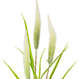 100cm Reed Spray White Green image 1