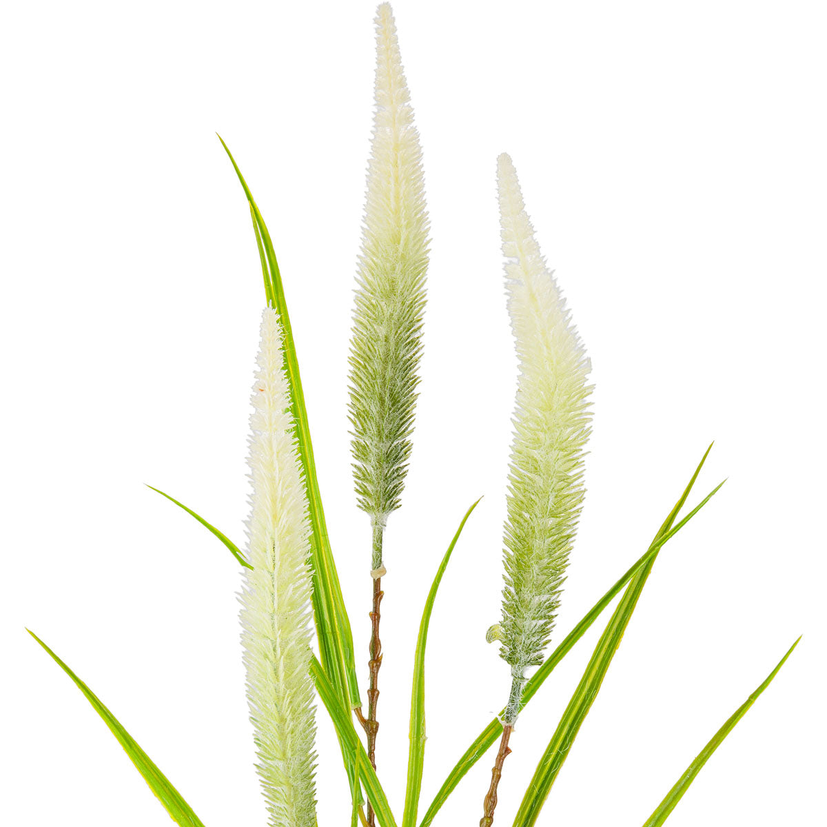 100cm Reed Spray White Green image 1