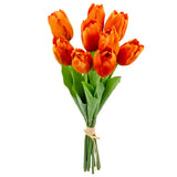 Tulip Bunch x 9 Orange image 1