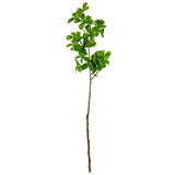 Almond Leaf Spray Green image 0