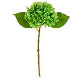 Small Head Hydrangea Lime Green image 4