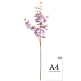Eucalyptus Stem Purple image 1