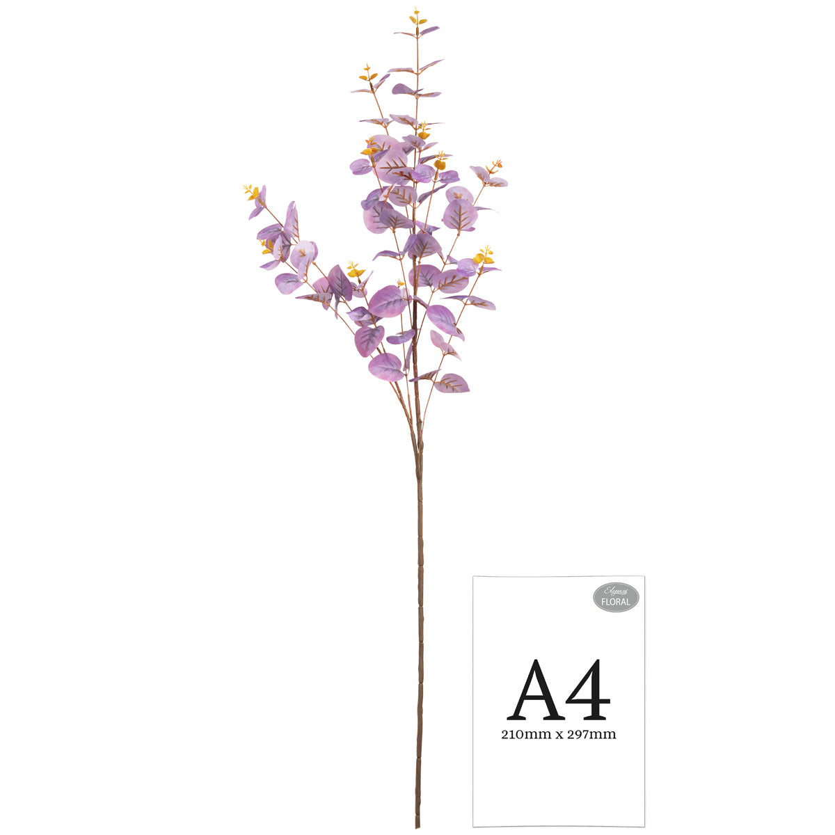 Eucalyptus Stem Purple image 1
