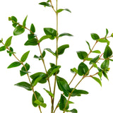 Emerald Palm Leaf Stem Green image 1