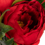 Aurora Peony Bunch x 5 Red image 2