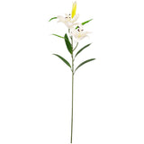 Lily Stem x 2, 1 Bud & 7 Leaves White image 0