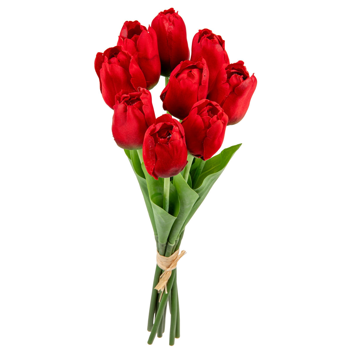 Tulip Bunch x 9 Red image 1