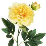 Peony Spray x 2 Yellow image 1