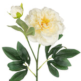 Peony Spray x 2 Cream image 1