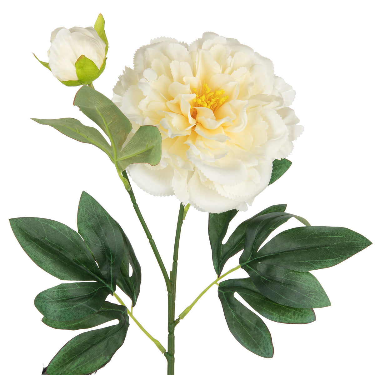 Peony Spray x 2 Cream image 1