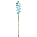 Phalaenopsis Orchid x 9 Wedgewood Blue image 0