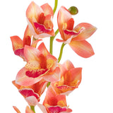 Cymbidium Orchid x 10 plus 2 buds Pink image 1