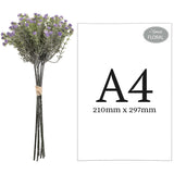 Mini Open Gypsophilia Bunch x 6 Lavender 33cm image 2