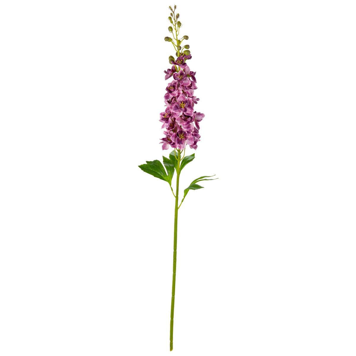 Delphinium Stem Damson image 0