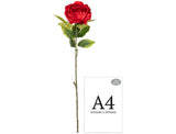 Aurora Peony x 1 Red image 1