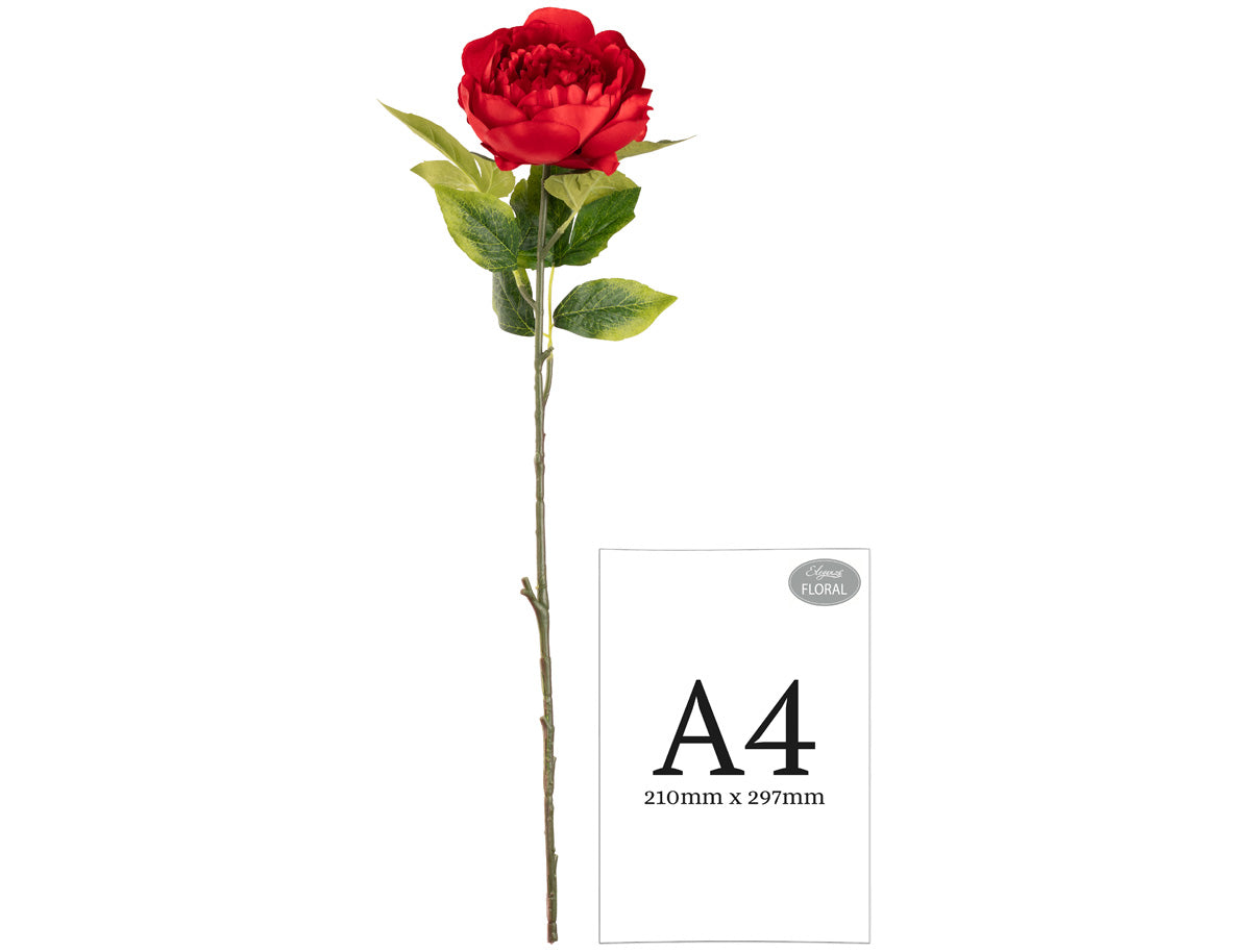 Aurora Peony x 1 Red image 1