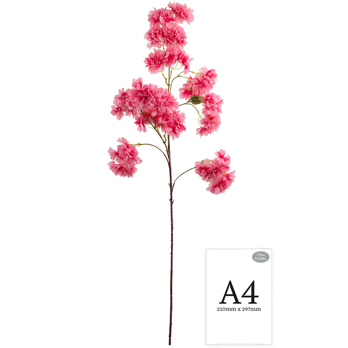 Blossom Spray Pink image 1