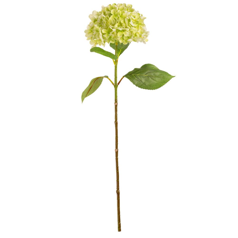 Hydrangea Stem Green (19cm Head 66cm Stem) image 0