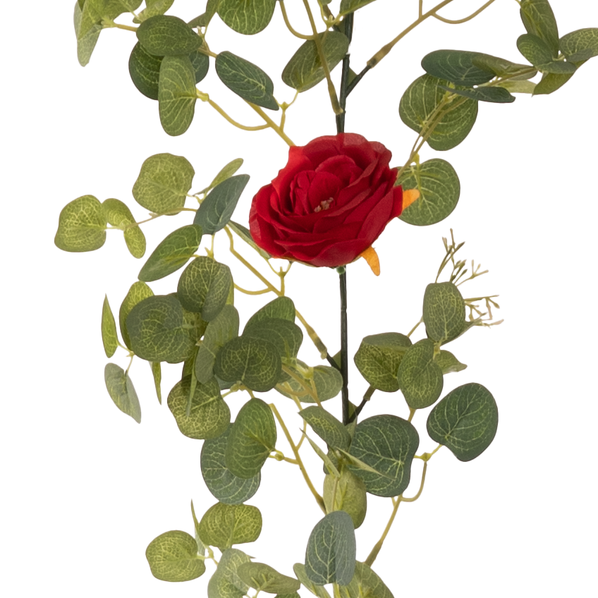 Eucalyptus Garland with Wild Rose Red image 0