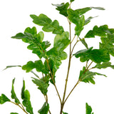 Oakleaf Spray Green image 1