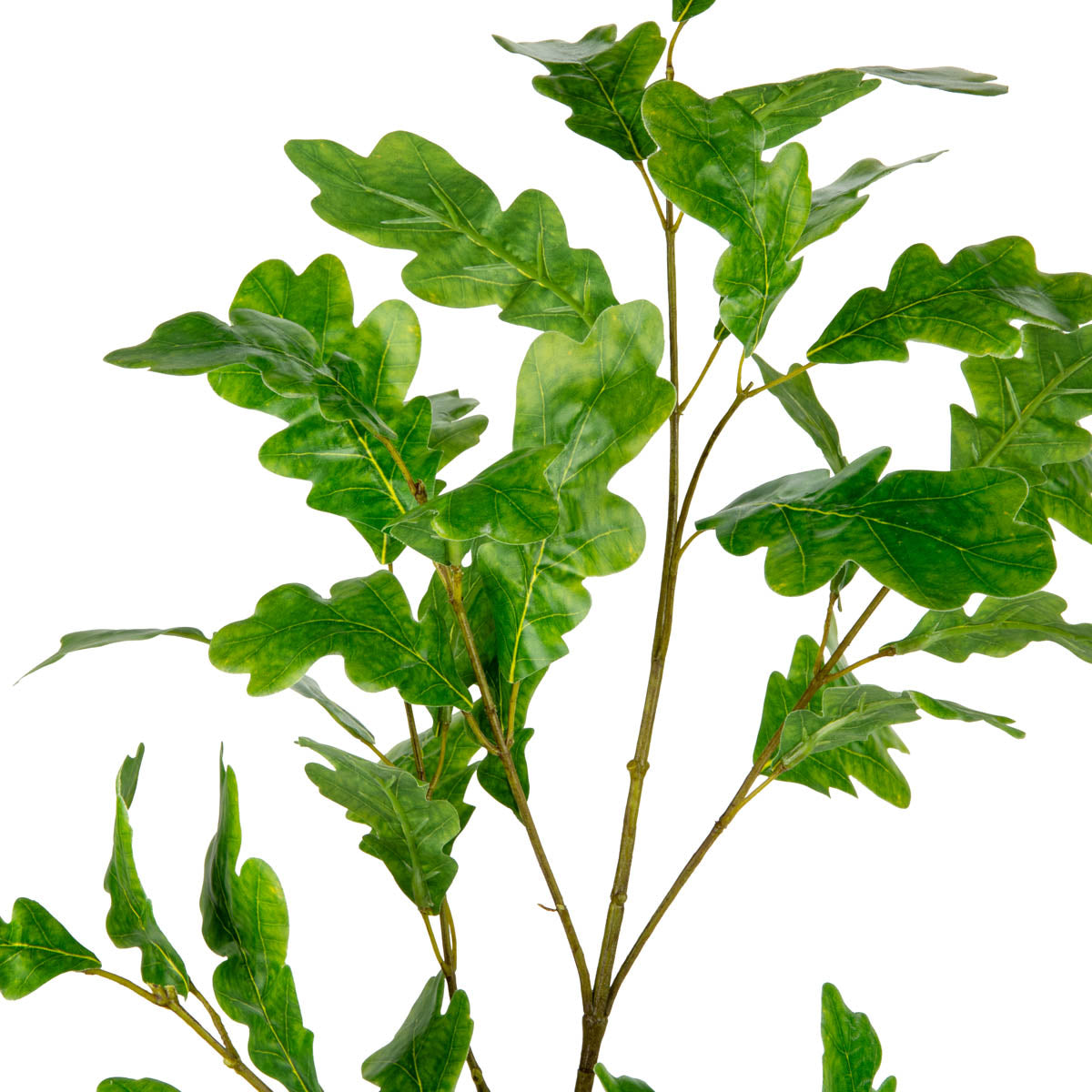 Oakleaf Spray Green image 1