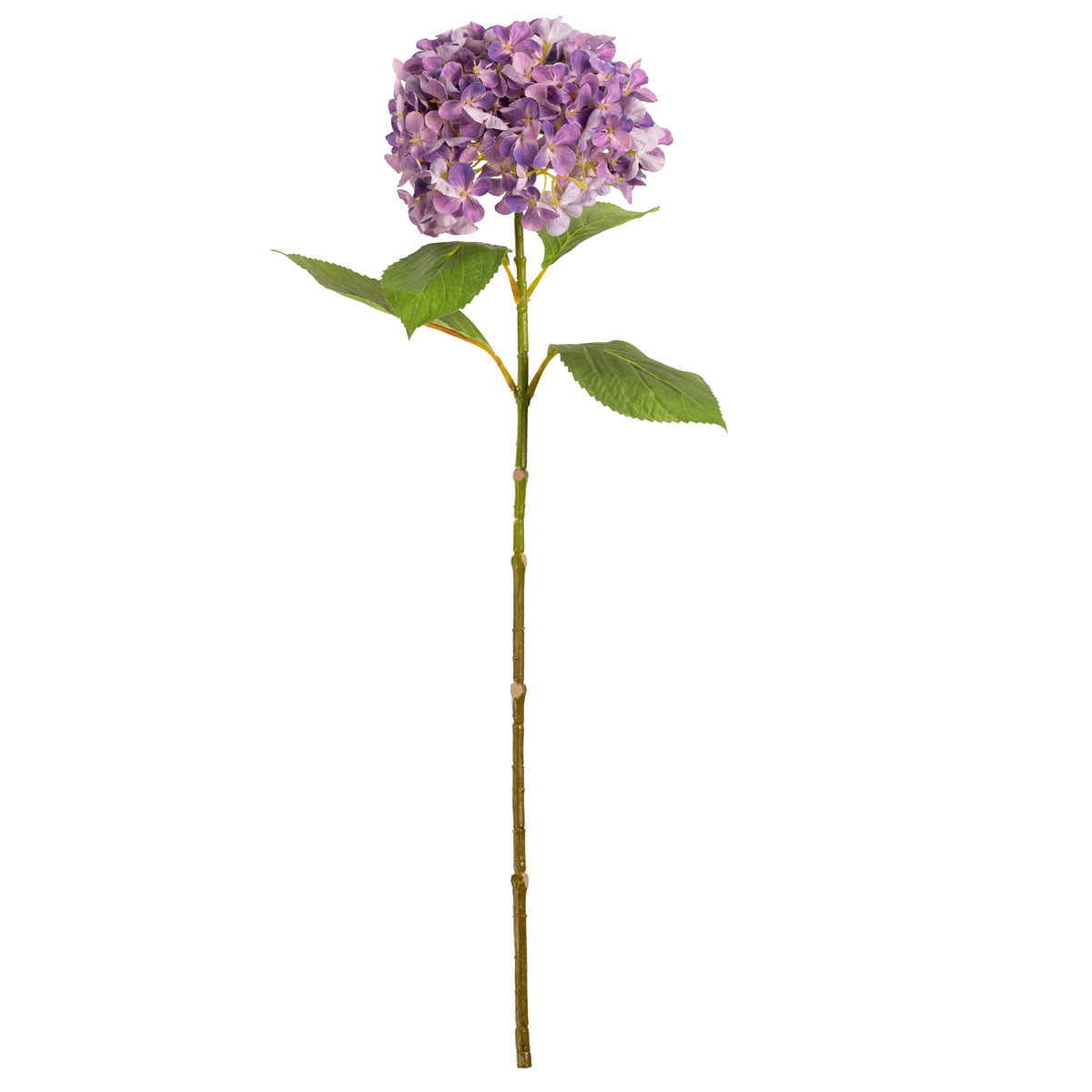 Hydrangea Stem Lavender (19cm Head 66cm Stem) image 0