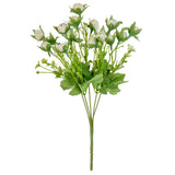 Rosebud Bush White image 3